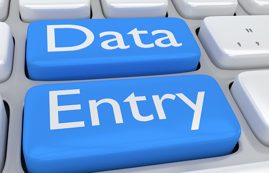 jasa entry data online